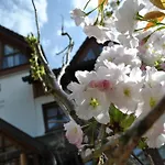 Goldener Hahn Pool, Sauna & Fruehstuecksservice Appartamento *