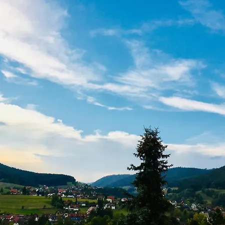 Goldener Hahn - Mit Service Nahe Gartenschau Tal X Baiersbronn
