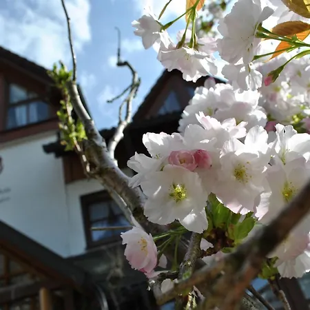 Goldener Hahn B&B Ferienwohnungen Pool & Sauna Near Medicenter Apartment *