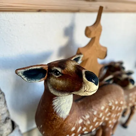 Apartment Goldener Hahn B&B Ferienwohnungen Pool & Sauna Near Medicenter