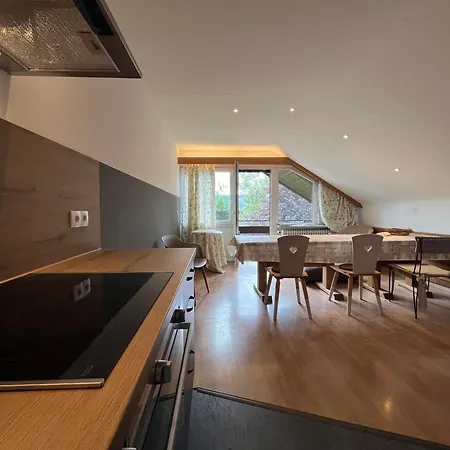 Apartment Goldener Hahn - Mit Service Nahe Gartenschau Tal X