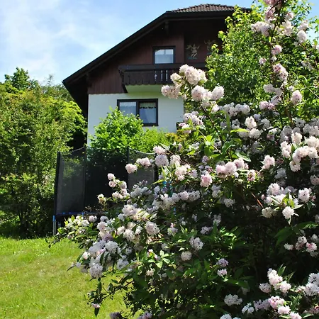 Apartment Goldener Hahn - Mit Service Nahe Gartenschau Tal X Baiersbronn