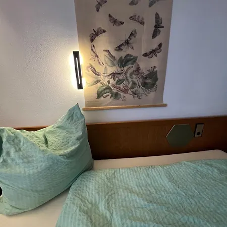 Goldener Hahn B&B Ferienwohnungen Pool & Sauna Near Medicenter * Baiersbronn