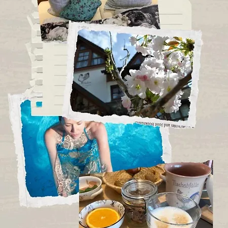 Goldener Hahn B&B Ferienwohnungen Pool & Sauna Near Medicenter Apartment Baiersbronn