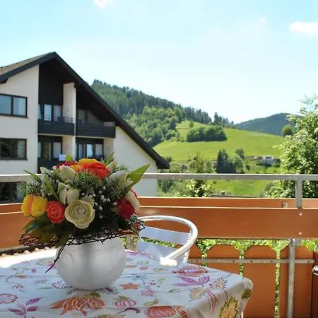 Апартаменты Goldener Hahn Pool, Sauna & Fruehstuecksservice