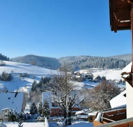 Apartment Goldener Hahn B&B Ferienwohnungen Pool & Sauna Near Medicenter Baiersbronn