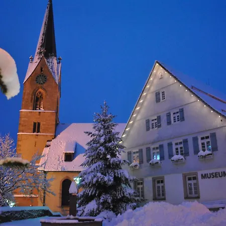 Apartment Goldener Hahn B&B Ferienwohnungen Pool & Sauna Near Medicenter