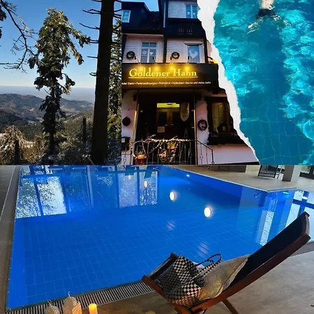 公寓 Goldener Hahn B&B Ferienwohnungen Pool & Sauna Near Medicenter *