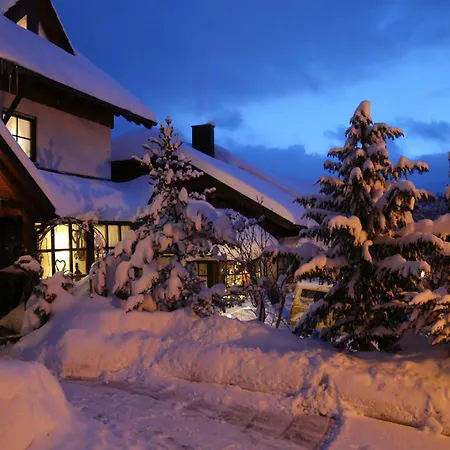 Goldener Hahn B&B Ferienwohnungen Pool & Sauna Near Medicenter 公寓 拜尔斯布龙