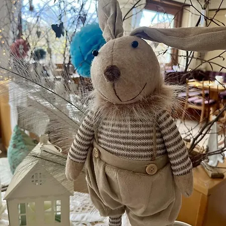 Goldener Hahn B&B Ferienwohnungen Pool & Sauna Near Medicenter