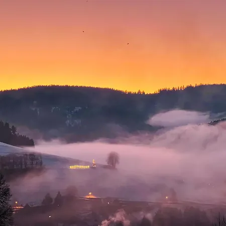 Goldener Hahn B&B Ferienwohnungen Pool & Sauna Near Medicenter 拜尔斯布龙