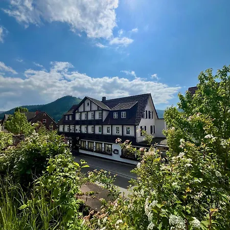 Goldener Hahn B&B Ferienwohnungen Pool & Sauna Near Medicenter 公寓 *