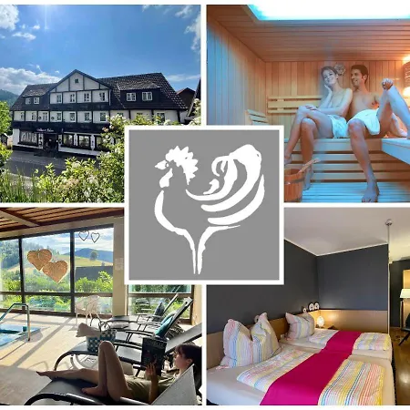 Goldener Hahn Pool, Sauna & Fruehstuecksservice Baiersbronn