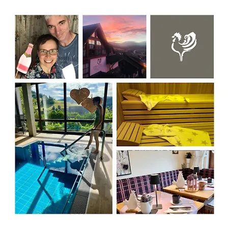Goldener Hahn Pool, Sauna & Fruehstuecksservice *