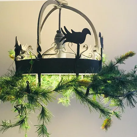 Goldener Hahn B&B Ferienwohnungen Pool & Sauna Near Medicenter Apartment *