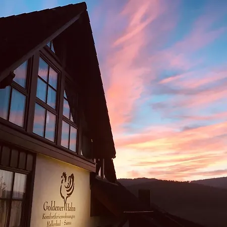 Goldener Hahn Pool, Sauna & Fruehstuecksservice Байрсброн
